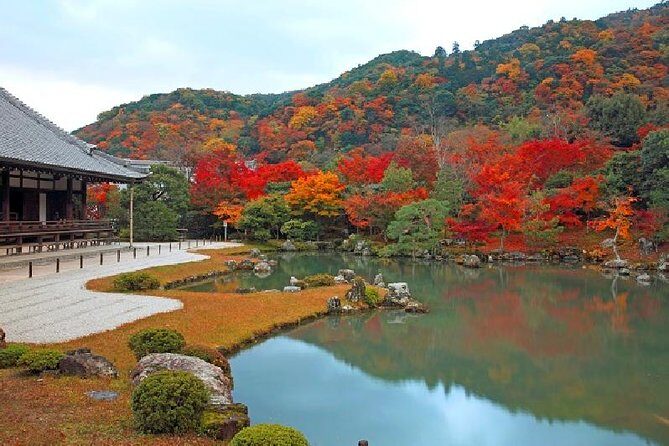 Kyoto Sagano Bamboo Grove & Arashiyama Walking Tour - Who Should Take This Tour?