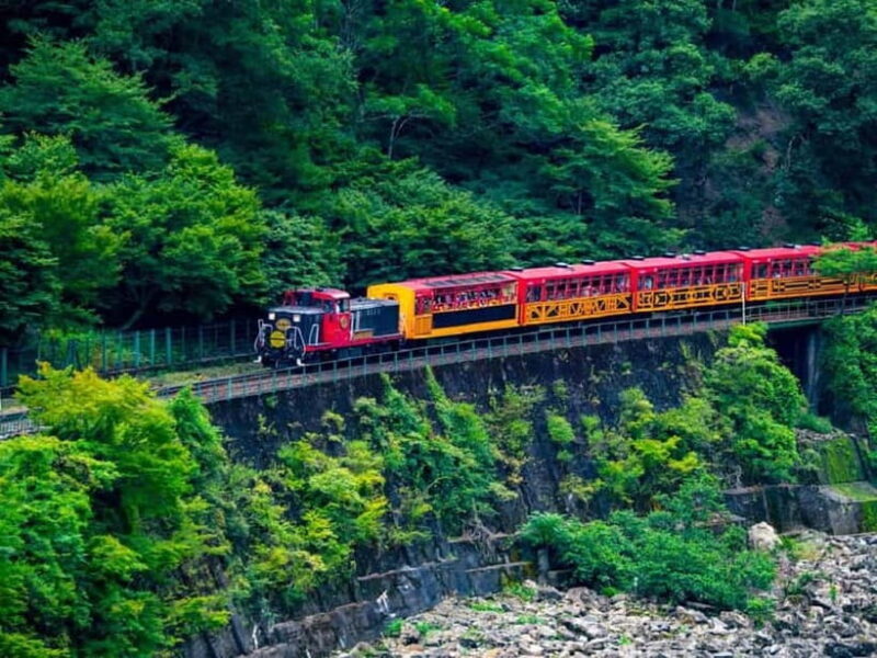 Kyoto: Sagano Romantic Train and Hozugawa River Cruise - Practicalities: What’s Included and What’s Not