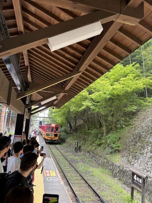 Kyoto: Sagano Scenic Railway, River Cruise, & Sake Tour - FAQ