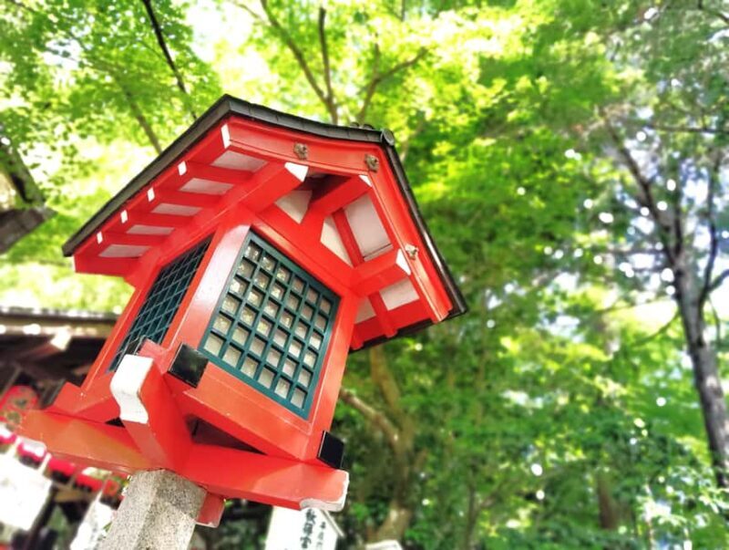 Kyoto: Serene Morning Walk in Arashiyama Bamboo Grove - What to Expect at Each Stop