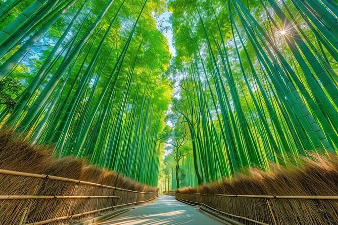 Kyoto Shogun Cycling Tour - Who Would Love This Tour?
