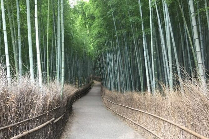 Kyoto Shogun Cycling Tour - FAQ