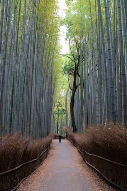 Kyoto: Spiritual and Traditional Customizable Day Tour - What Travelers Say