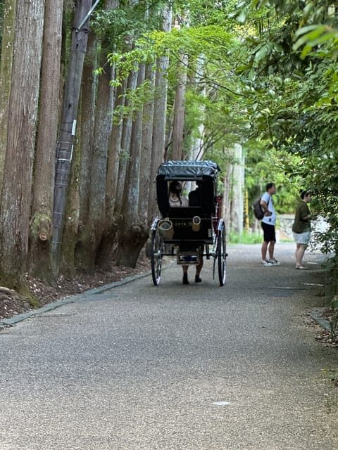 Kyoto: Stroll around the Depths of Arashiyama - FAQs