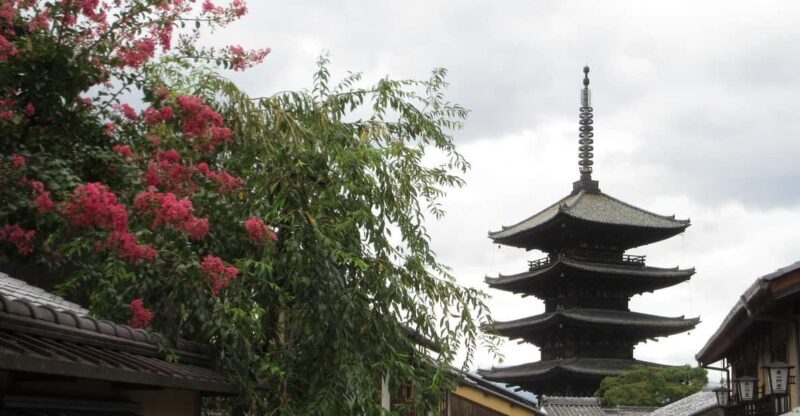 KYOTO: Tempio Kiyomizu Pagode Gion Geisya (Guida Italiana) - Who Should Consider This Tour?