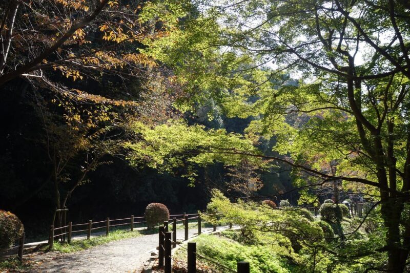 Kyoto: the Best E-bike Tours, Explore Kyoto like a local! - Key Points