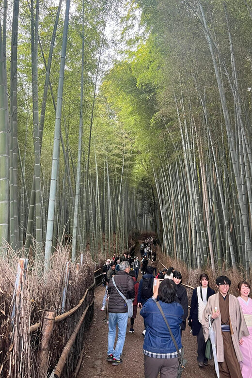 Kyoto: The Heart of Arashiyama, Bamboo Forests and Sacred Temples - The Experience Provider and Booking Info
