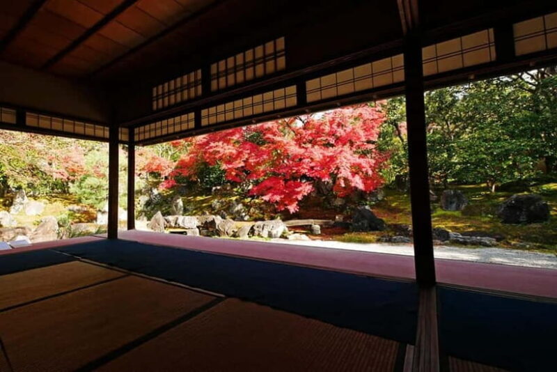 Kyoto: Timeless Kodaiji - Journey Through Historic Kyoto - Introduction: Discover Kyoto’s Heart in a Relaxed Day