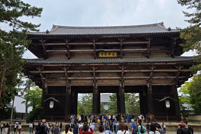 Kyoto to Nara Day Trip 6 Hour Private Tour with Deer and Temples - Exploring the Nara Experience: What You Can Expect