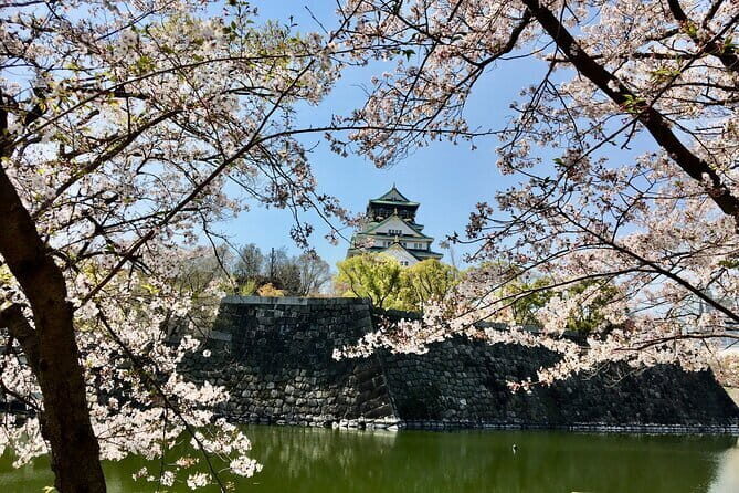 Kyoto Top 4 Must-see Attractions One Day Sightseeing Trip - Who Will Appreciate This Tour?
