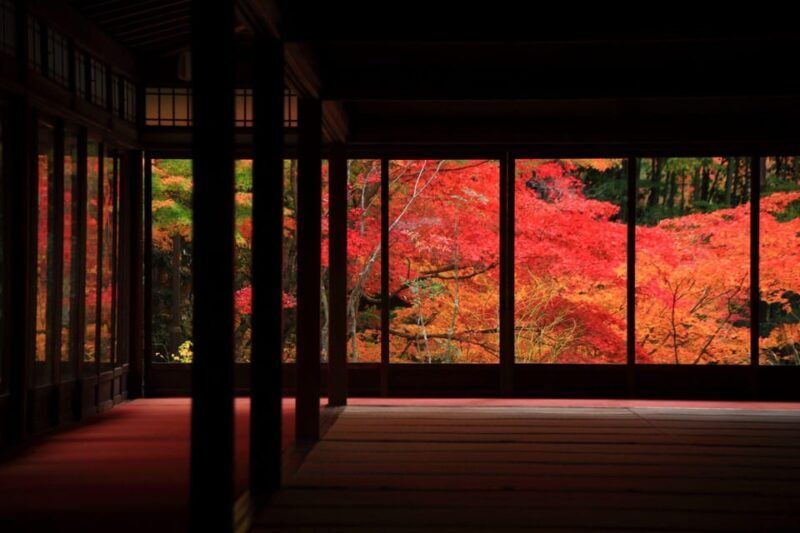 Kyoto Top Highlights Full-Day Trip from Osaka - Key Points
