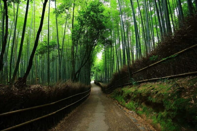 Kyoto Top Highlights Full-Day Trip from Osaka - A Full Breakdown of the Experience