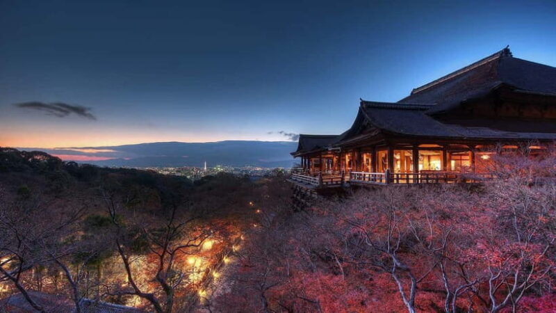 Kyoto Top Highlights Full-Day Trip from Osaka - Who Should Consider This Tour?