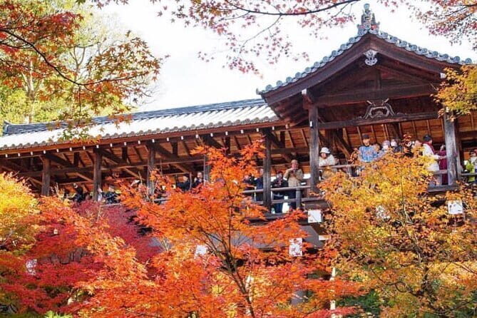 Kyoto tour 12 hours Private Nagoya pick up available - Introduction: Why This Tour Stands Out