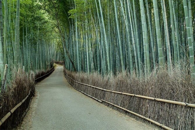 Kyoto Tour by Car from Kyoto Osaka Kobe - What Travelers Say
