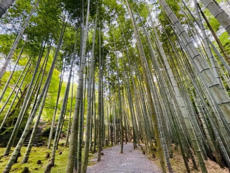 Kyoto : True Kyoto Avoid the crowds E-Bike Tour - What Travelers Say