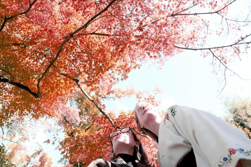 Kyoto: Try Nishijin Weaving in the Oldest Geisha District - Practical Details: What to Expect