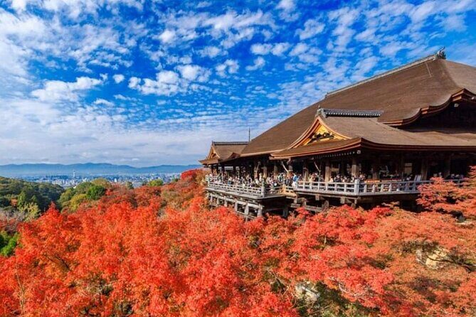 Kyoto & Uji Day Tour: Golden Pavilion, Kiyomizu & Matcha Street - The Value of the Tour: Cost, Comfort, and Cultural Depth