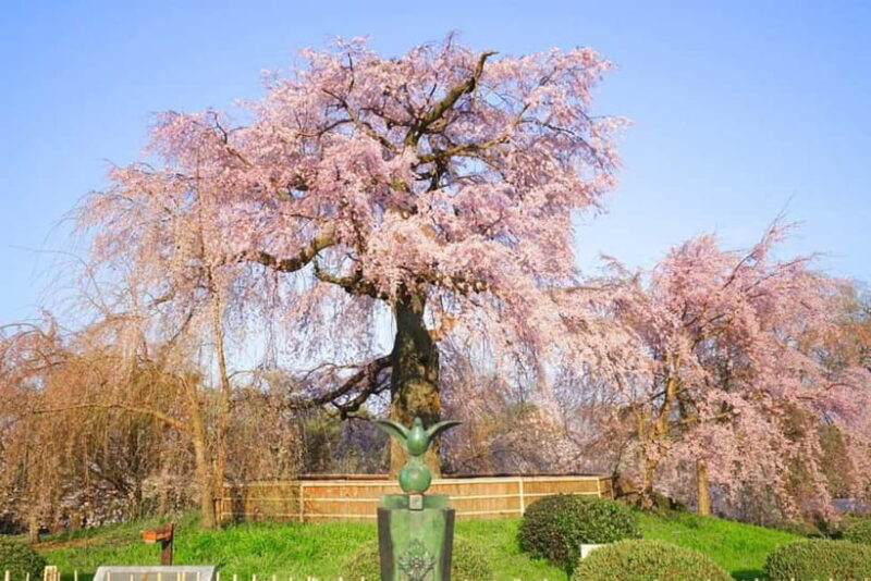 Kyoto Unveiled: Private Tour of Heritage, Beauty & Spirit - An In-Depth Look at the Experience