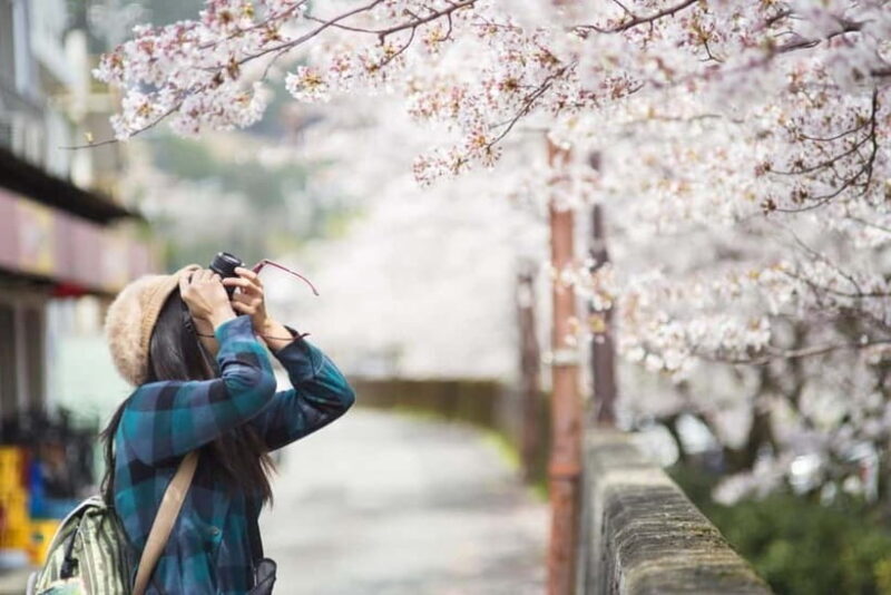 Kyoto Unveiled: Private Tour of Heritage, Beauty & Spirit - Who Will Love This Tour?