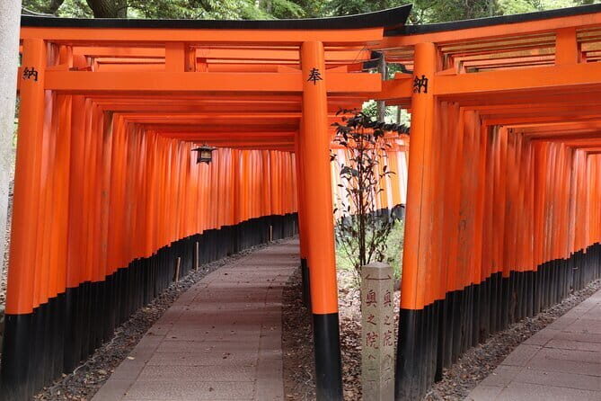 Kyoto Walking Tour at Fushimi Inari Shrine and Tofukuji Temple - Key Points