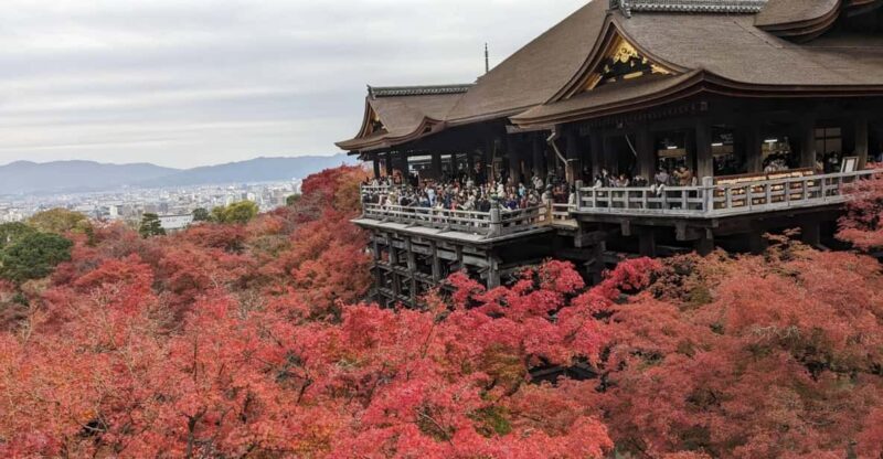 Kyoto: Walking tour Kiyomizu, Geisha District with a Local - Key Points