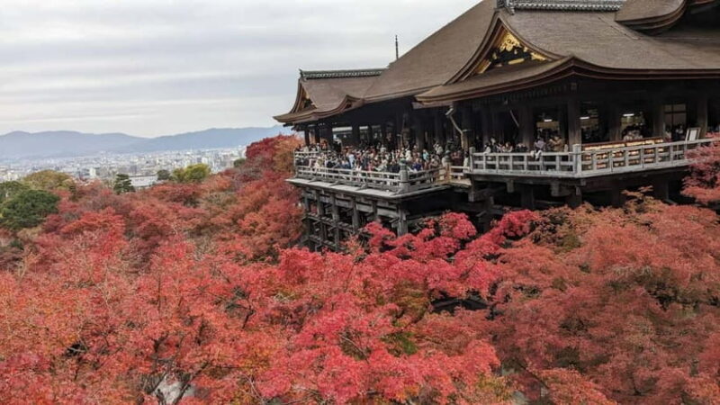 Kyoto: Walking tour Kiyomizu, Geisha District with a Local - Who Will Love This Tour?