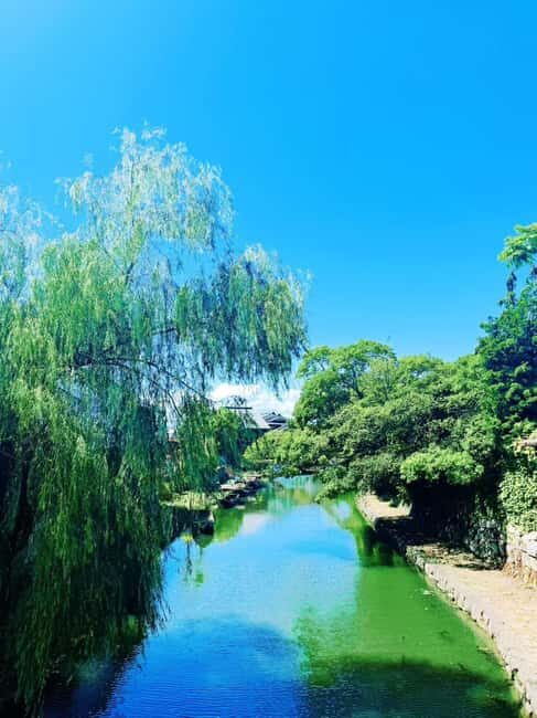 Kyoto:Kimono Tea Ceremony Experiencw Tour - Exploring Kyoto’s Top Highlights in One Day