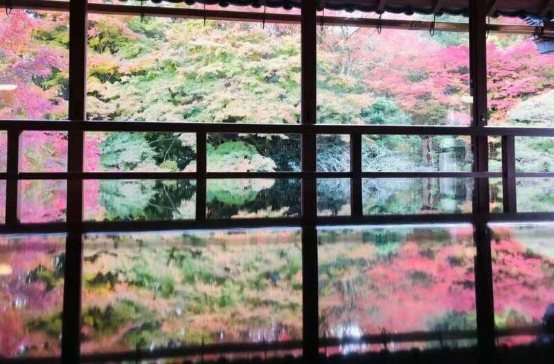 Kyoto:Kimono Tea Ceremony Experiencw Tour - Cultural Experiences You’ll Love