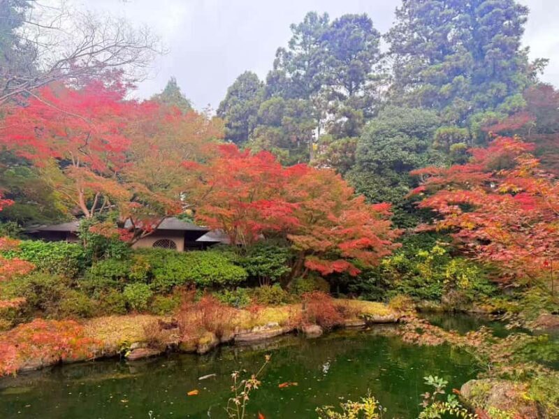 Kyoto:Kimono Tea Ceremony Experiencw Tour - FAQ