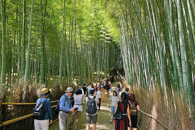 Kyoto's Arashiyama Bamboo Grove: 3-Hour Guided Tour - Who Will Love This Tour?