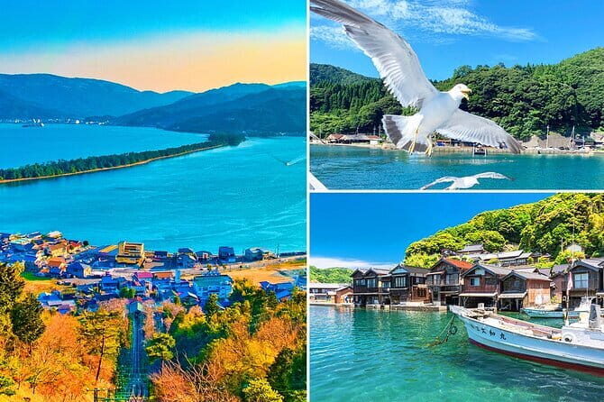 Kyoto's coast Amanohashidate and Ine Boathouse Full-Day Tour - An In-Depth Look at the Tour Experience