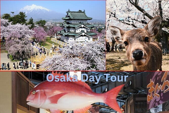 Kyoto's coast Amanohashidate and Ine Boathouse Full-Day Tour - Who Will Love This Tour?