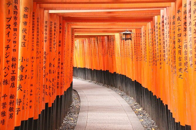 Kyoto's Top City Highlights: 2-Day Private Tour Experience - What Makes This Tour Stand Out?