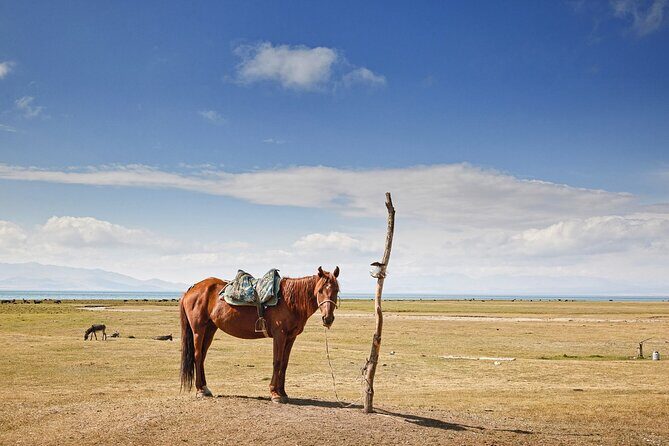 Kyrgyzstan Highland Lakes and Yurt Camps Adventure Trip - Authenticity and traveler impressions