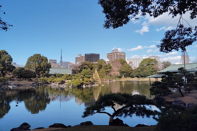 Kyu-Yasuda, Kiyosumi and Hama-Rikyu Tokyo Garden Tour - What to Expect from the Overall Experience