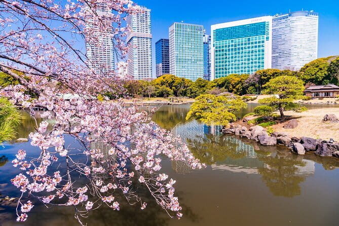 Kyu-Yasuda, Kiyosumi and Hama-Rikyu Tokyo Garden Tour - Who Should Take This Tour?