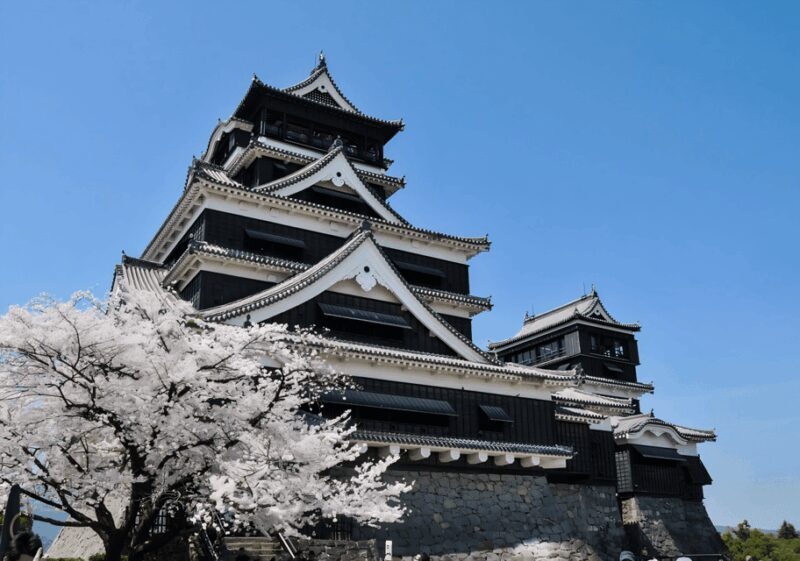 Kyushu 9-hour chartered day trip Kumamoto - Final Thoughts: Who Is This Experience Best For?