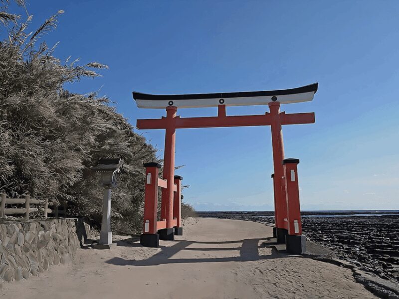 Kyushu 9-hour chartered day trip Miyazaki - The Sum Up: Who Will Love This Experience?