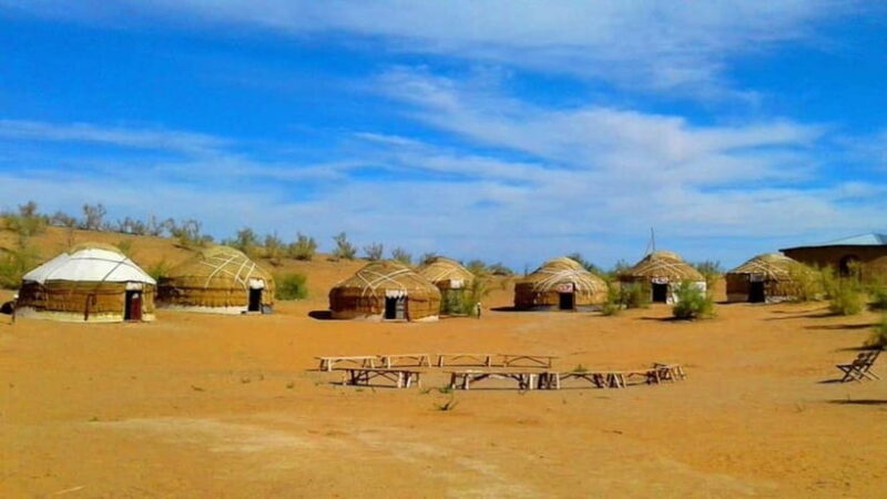 Kyzylkum Desert tour from Bukhara (1 Night 2 Days) - The Cultural and Natural Highlights