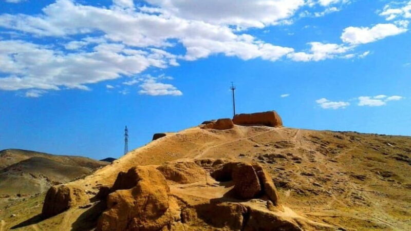 Kyzylkum Desert tour from Bukhara (1 Night 2 Days) - Authentic Experiences and Review Insights