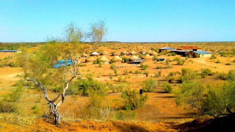 Kyzylkum Desert tour from Samarkand (1Night 2 Days) - The Experience: An In-Depth Look at the 2-Day Kyzylkum Desert Tour