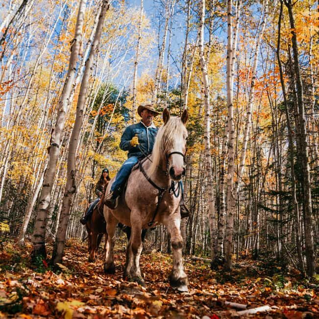 La Bleuetière: A charming introduction to horseback riding - An introduction to the experience