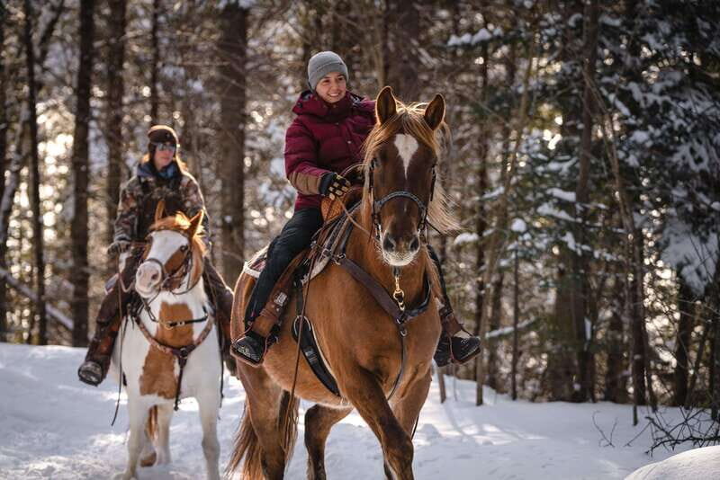 La Bleuetière: A charming introduction to horseback riding - Who should consider this experience?