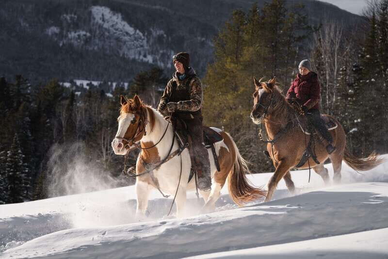 La Bleuetière: A charming introduction to horseback riding - The Sum Up