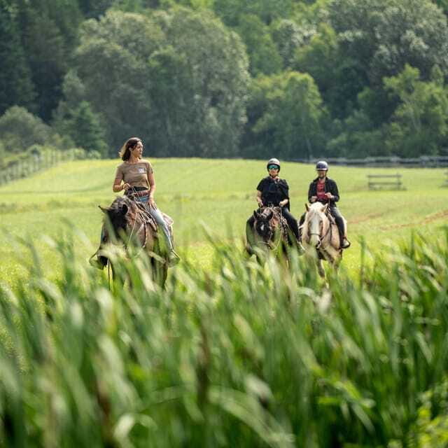 La Bleuetière: A charming introduction to horseback riding - FAQ