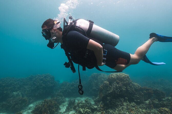 La Bombona Diving Koh Tao Try Dive - FAQ: Your Questions Answered