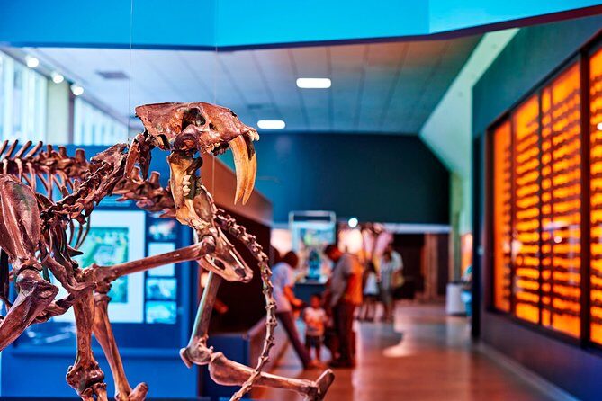 La Brea Tar Pits and Museum Admission Ticket with Excavator Tour - What To Expect on Your Visit to the La Brea Tar Pits and Museum