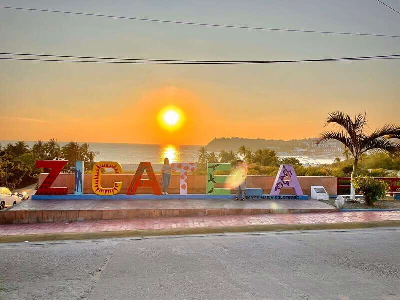 La Crucecita: Magic Lagoon Bioluminescence and Turtles Tour - The Itinerary: What to Expect from Start to Finish