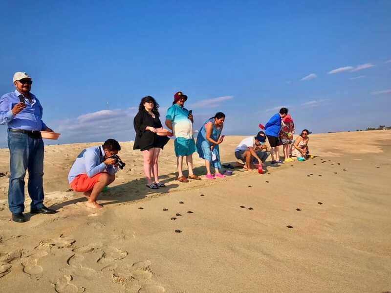 La Crucecita: Magic Lagoon Bioluminescence and Turtles Tour - FAQ
